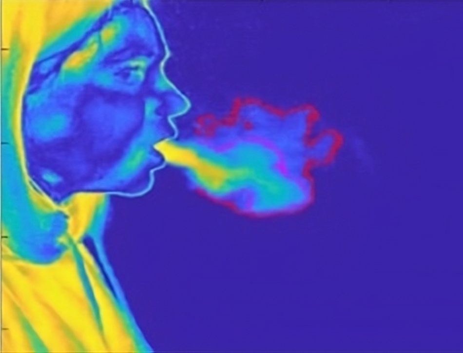 Visualisation of exhaled breath using a thermal imaging camera with a CO2 filter 