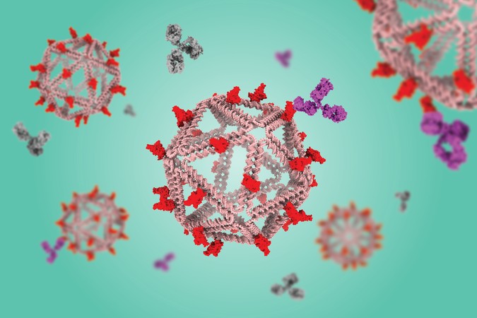 DNA particles that mimic viruses hold promise as vaccines